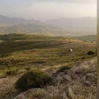 چوپان برای گله سبک