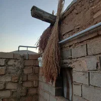 جارو|عمده‌فروشی|زنجان, |دیوار