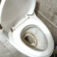 دستشویی توالت فرنگی قدیمی|لوازم سرویس بهداشتی|تهران, آهنگ|دیوار