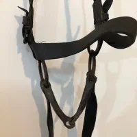 افسار اسب