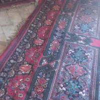 قالی ۳×۴|فرش|اردکان, |دیوار