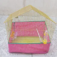 قفس عروس هلندی