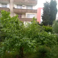 فروش واحد ۱۰۷ متری در گلسار