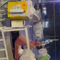 کاترپیلار 8 نفره با استاندارد شهربازی