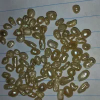 مروارید اصل با تشخیص کارشناس به فروش میرسد