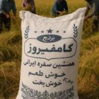 برنج کامفیروزی|خوردنی و آشامیدنی|آباده, |دیوار