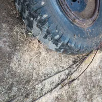 رینگ و لاستیک بیست|قطعات یدکی و لوازم جانبی|دالاهو, |دیوار