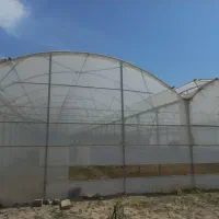 اجاره گلخانه