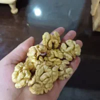 مغز گردو مال امسال|خوردنی و آشامیدنی|قره ضیاالدین, |دیوار