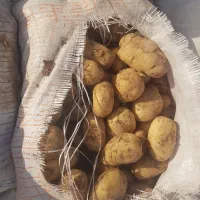 خوردنی های حلال|خوردنی و آشامیدنی|دوتپه, |دیوار