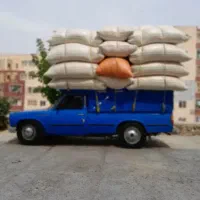 فروش کاه گندم دیم