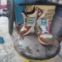 Zx8000|کیف، کفش، کمربند|قم, وادی السلام|دیوار