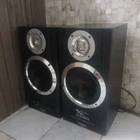 اسپیکر ایستاده دوقولو