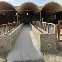 املاک روستای خاوه(ورامین)|فروش دفتر صنعتی، کشاورزی، تجاری|جوادآباد, |دیوار