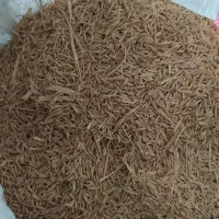 چلتوک دم سیاه