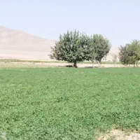 کارگر کشاورزی