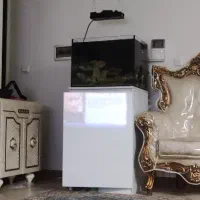 آکواریوم ریملکس حرفه ای