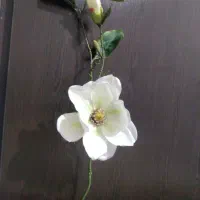 گل پارچه ای شاخه ای|گل مصنوعی|اهواز, بهارستان|دیوار