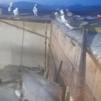 پرنده|پرنده|فرح دشت, |دیوار