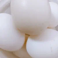 تخم نطفه دار اردک اسراییلی