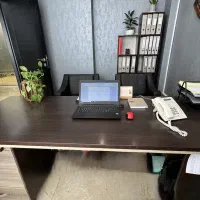 میز مدیریتی|دفتر کار|تهران, درختی|دیوار
