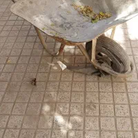 فرقون قدیمی