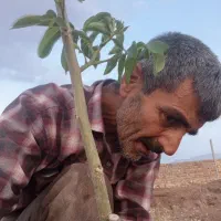 خدمات باغبانی و درختکاری