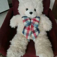 خرس بزرگ ۱متری