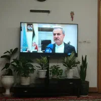 ال ای دی  LG43