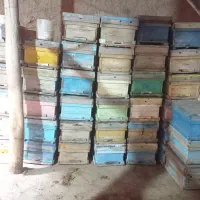 کندو خالی