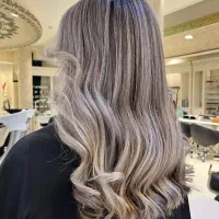 استخدام دستیار