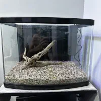 آکواریوم|ماهی|فردیس, فرامرزیه|دیوار