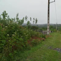 فروش یک قطعه زمین|اجارهٔ دفتر صنعتی، کشاورزی، تجاری|قائمشهر, |دیوار