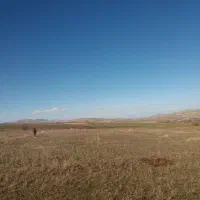 زمین کشاورزی