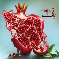 فروش زمین ۴۰ متری /فرصتی استثنایی برای سرمایهگذاری