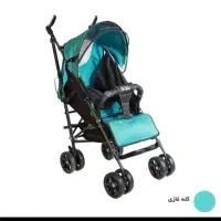 کالسکه عصایی دلیجان