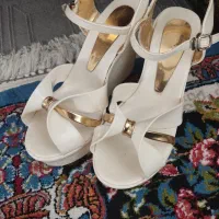 کفش نو|کیف، کفش، کمربند|نیشابور, فردوسی جنوبی|دیوار