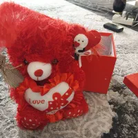 تدی سخن گو موقع صحبت چشم‌هاش روشن میشه