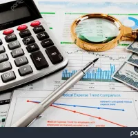 حسابدار با ۳۰ تجربه (دولتی . شرکتی)