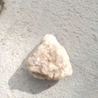 فسیل|کلکسیون اشیاء عتیقه|مرودشت, تامین اجتماعی|دیوار