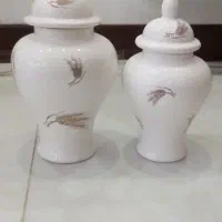 جینجر جنس سرامیک