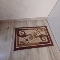 پادری ۳عدد|پادری|تبریز, |دیوار