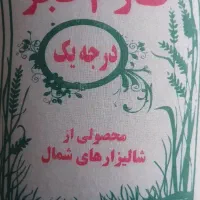 طارم فجر مازندران