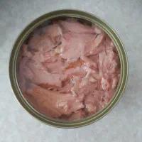 فروش تون ماهی به صورت عمده