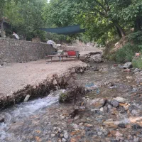توراقتصادی بوژان