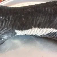 حضول بدون استفاده تمیز