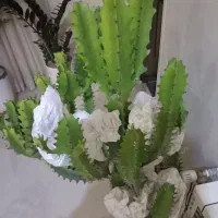 گل و گیاه|گل و گیاه طبیعی|کرج, باغستان|دیوار