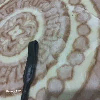 چوبدستی سوارکاری