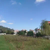 زمین شهری صلصال 225|فروش زمین و ملک کلنگی|تالش, هشتپر|دیوار