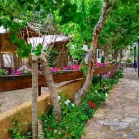 کسی هست راهنمایی کنه  برای تولد